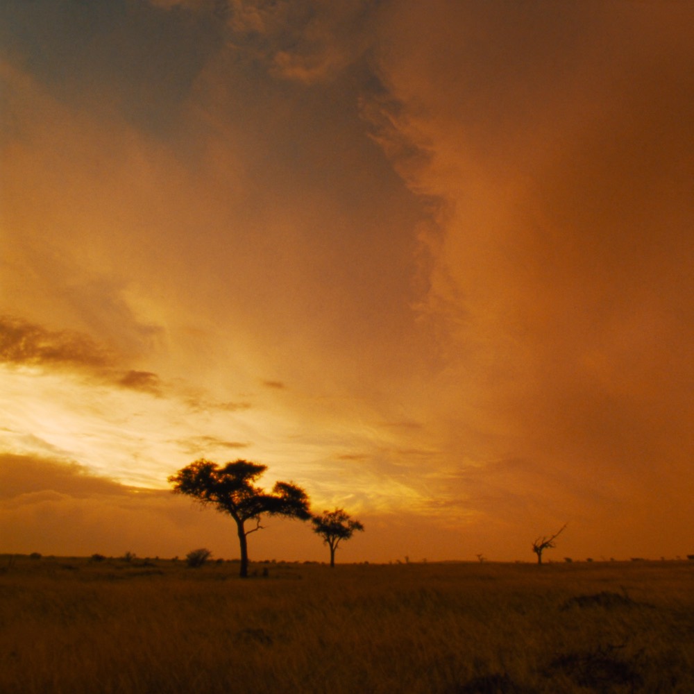 Limpopo countryside skies